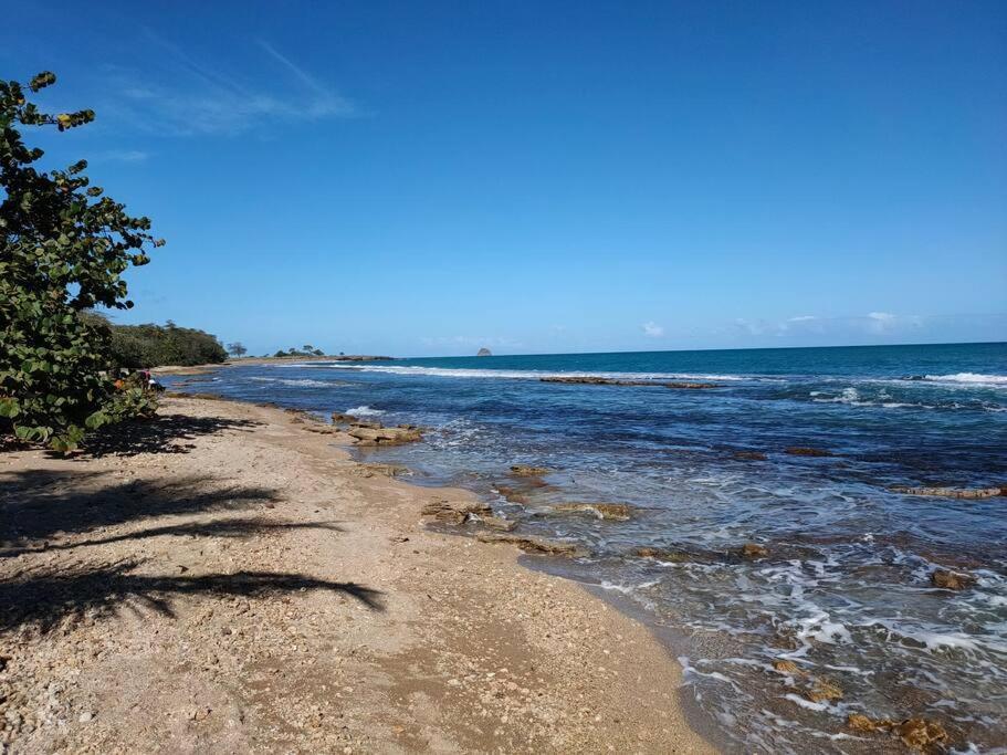 Haut De Villa Avec Vue Sur La Mer Sainte-Rose Exterior foto