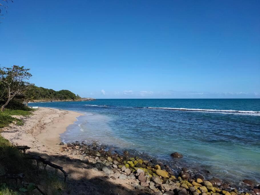 Haut De Villa Avec Vue Sur La Mer Sainte-Rose Exterior foto
